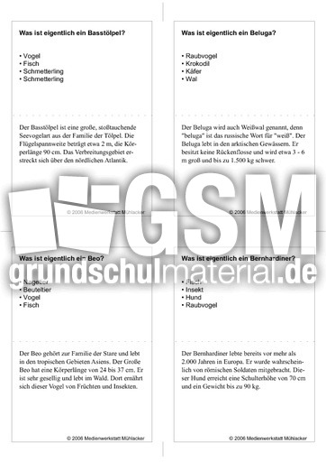 Quiz-Karten-Tiernamen 32.pdf